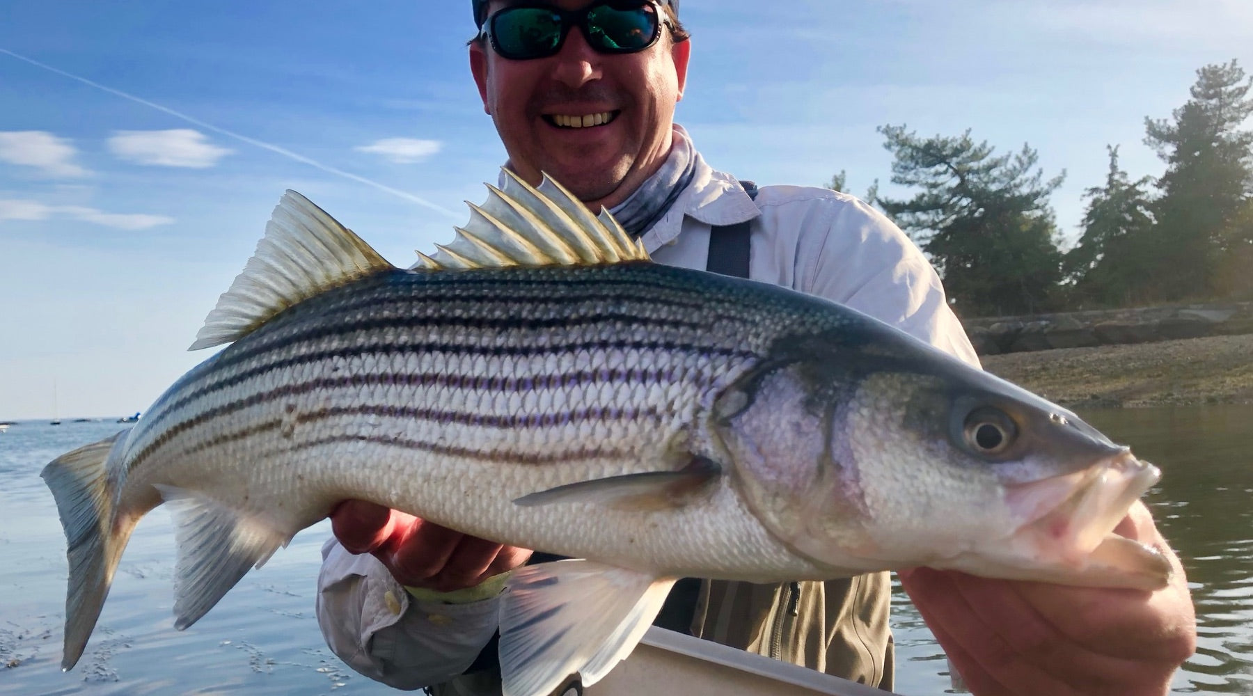 Article: Spey Stripers