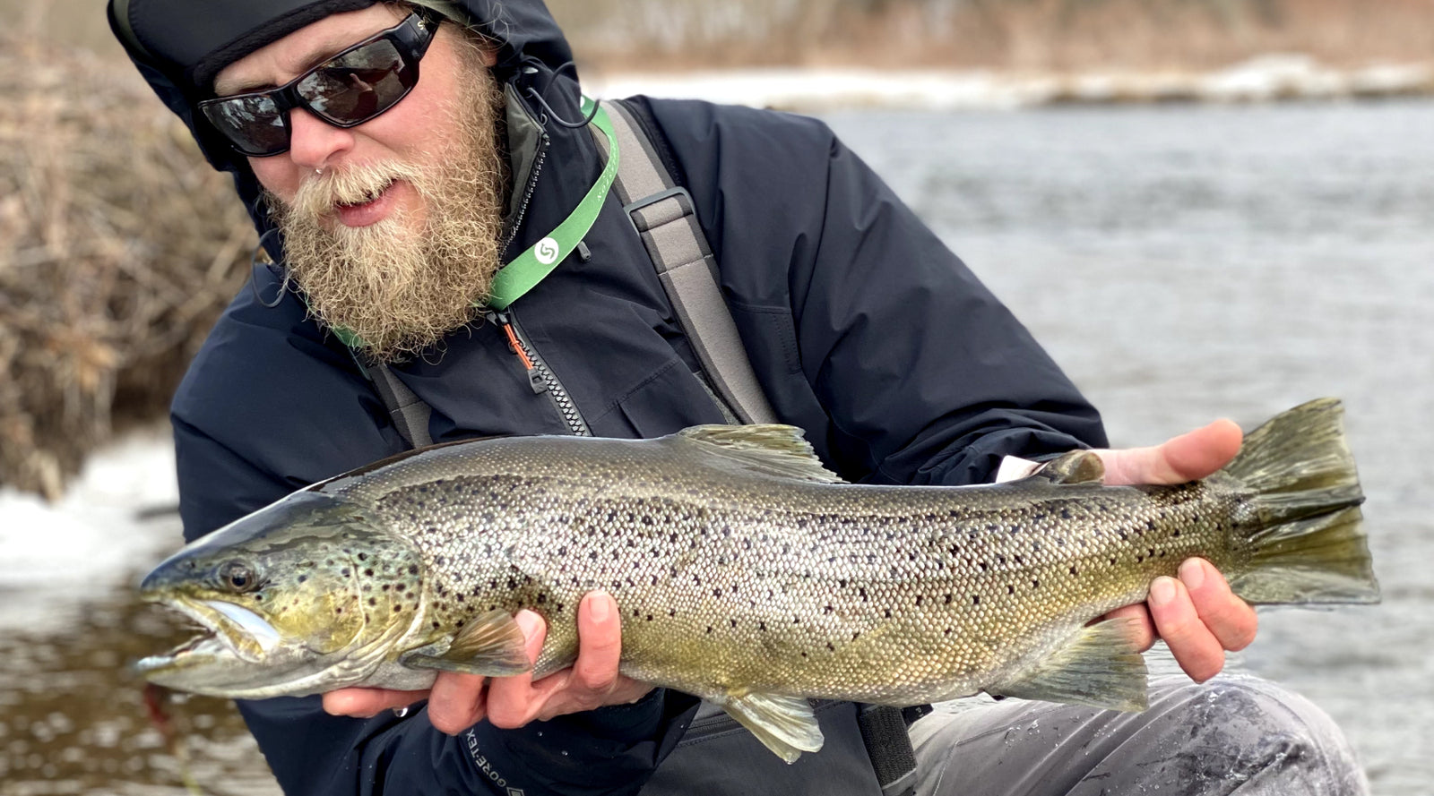 Fly Fishing Reports - The Compleat Angler