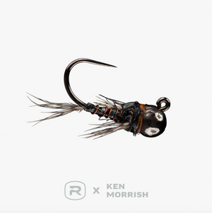 RIO's Morrish Sparkle Donkey TB