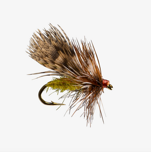 Spent Partridge Caddis