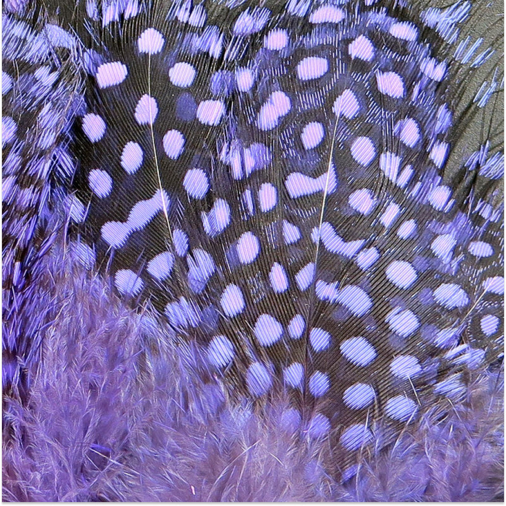 Strung Guinea Feathers